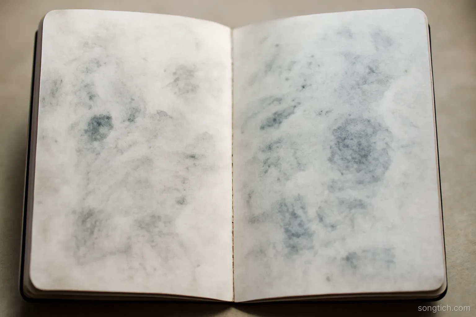 an open passport page filled only with faint overlapping ink smudges, no legible marks, close view