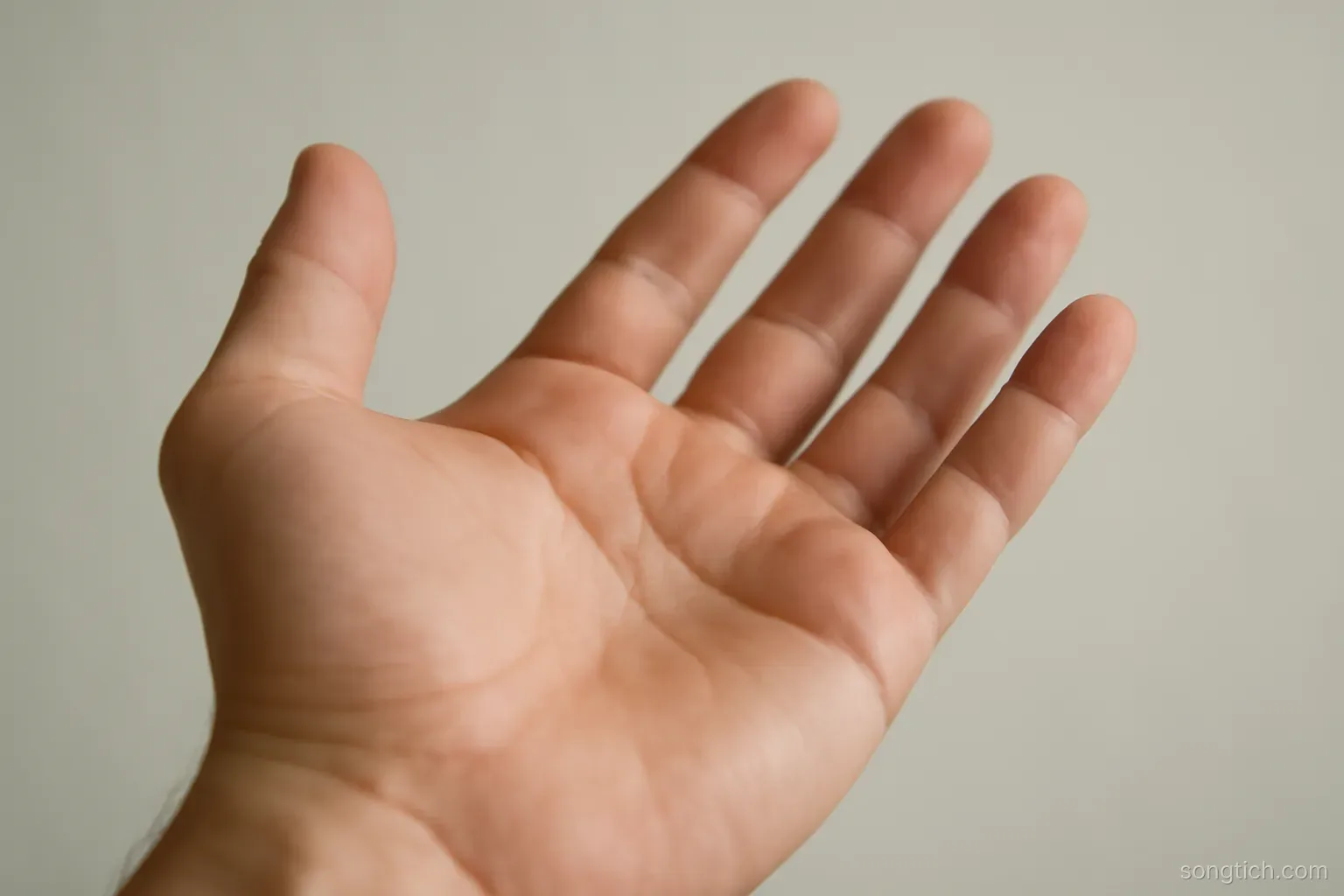 an open hand held palm-up and empty against a plain neutral background, close view