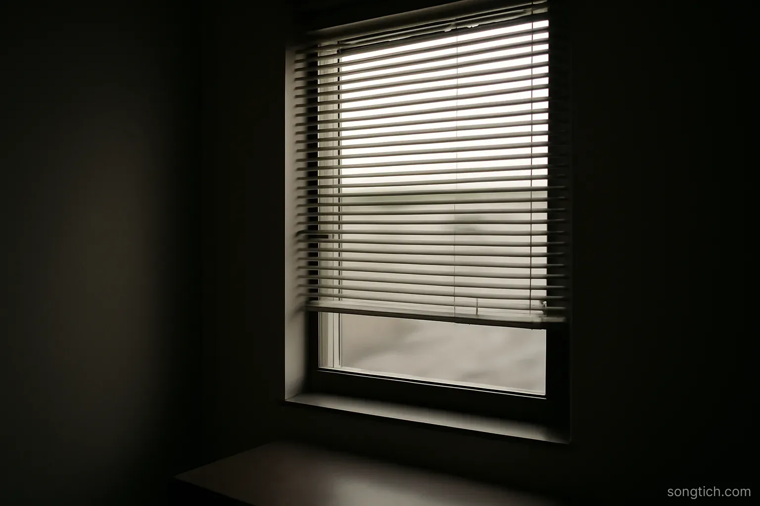 a plain office window with venetian blinds half open, seen from inside a dim room, no people