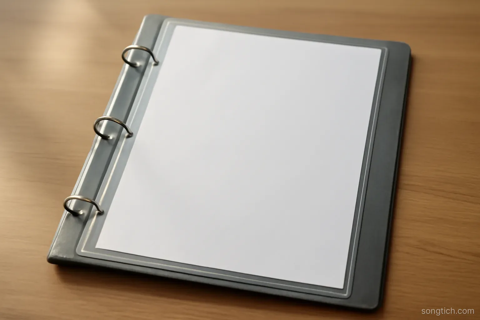a single sheet of paper in a clear sleeve clipped to the front of an otherwise empty binder